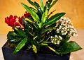 Hillside Floral - Salt Lake City Flower & Flowers Online Utah Local Florist image 5