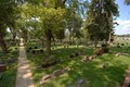 Hinsdale Animal Cemetery and Crematory image 6