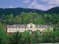 Holiday Inn Express Hotel & Suites Dillsboro/Western Carolina image 5