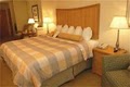 Holiday Inn & Suites Savannah Airport-Pooler image 3