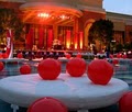 Hollywood Event Design Group image 1