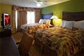 Homewood Suites by Hilton  Shreveport image 9