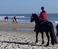 Horseback Riding of Myrtle Beach LLC image 2