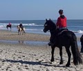 Horseback Riding of Myrtle Beach LLC image 2