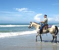 Horseback Riding of Myrtle Beach LLC logo