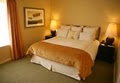 Horseshoe Bay Resort Marriott image 6