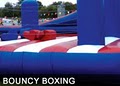 Houston Bounce Party Rentals image 6