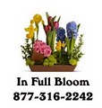 In Full Bloom - Wedding - Funeral - Event Flowers logo