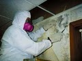 Indoor Water Damage and Mold Removal Services image 5