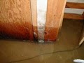 Indoor Water Damage and Mold Removal Services image 8