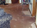 Indoor Water Damage and Mold Removal Services image 10