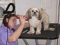 It's A Dog's World Pet Grooming image 3