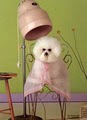 It's A Dog's World Pet Grooming image 6