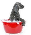 It's A Dog's World Pet Grooming image 7