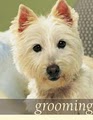 It's A Dog's World Pet Grooming image 10