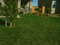 Jimenez Landscaping: Adelanto image 2