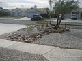 Jimenez Landscaping: Adelanto image 3