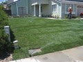 Jimenez Landscaping: Victorville image 2