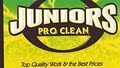 Juniors Carpet Cleaning image 5