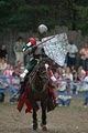 King Richard's Faire image 5