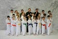 Kingdom Martial Arts Academy image 4