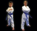 Ko's Black Belt Academy image 2