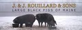 Large Black Pigs of Maine logo