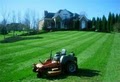 Laser Cut Lawn Care image 2