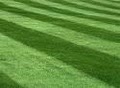 Lawn Moe - Landscaping and Lawn Care Services of New Hampshire image 4