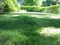 Lawn Moe - Landscaping and Lawn Care Services of New Hampshire image 6