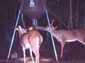 Legend's Big Game Feeders image 6
