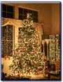 Light Visions Christmas & Holiday Decorating image 3