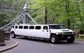 Limousine Services image 9