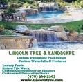 Lincoln Tree & Landscape image 6