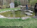 Lincoln Tree & Landscape image 9