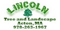 Lincoln Tree & Landscape logo
