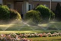 Liquid Sun Lawn Sprinklers, LLC image 2