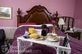 Little English Guesthouse Bed & Breakfast image 1