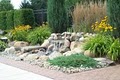 Lone Star Landscaping Contractors image 8