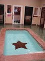 Lone Star Veterinary Clinic image 2