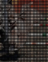 Low Country Dog Agility image 4