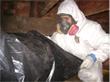 MOLD OUT SERVICES - MOLD TESTING AND REMOVAL logo