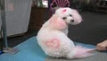 Marge's Pooch Parlor image 2