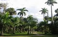 McKee Botanical Garden logo