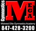 Midwest Elite Gymnastics Academy image 2