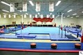 Midwest Elite Gymnastics Academy logo