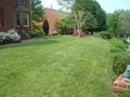 Mike's Lawn & Landscape image 4