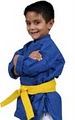Mile High Karate image 2