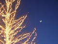Moon Light Holiday Lighting image 1