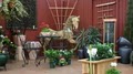 My Garden Nursery image 2